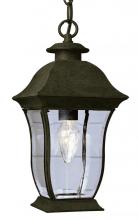  4975 BK - 2LT HANGING-OUTD-BEVELED CLEAR